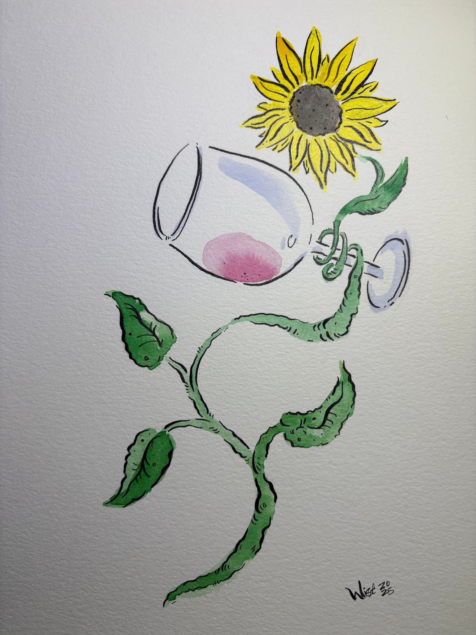 The suns light